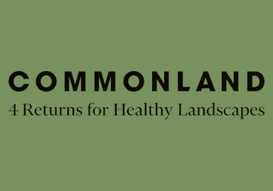 Commonland Logo